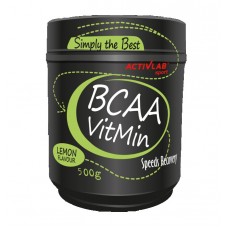BCAA VitMin ActivLab 500 g + Витамины и Минералы