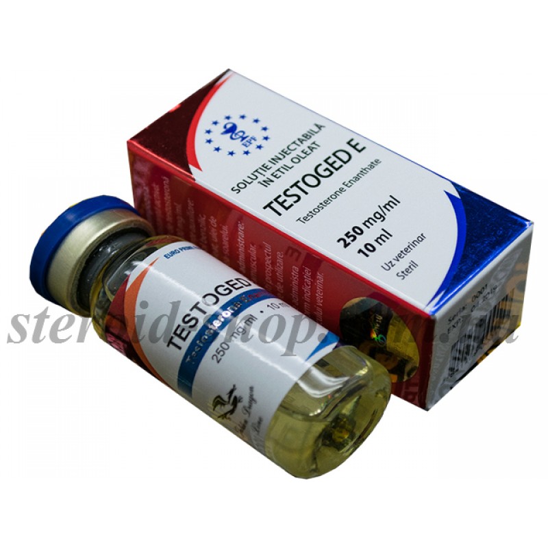 Тестостерон Энантат Euro Prime Farmaceuticals 10 ml, Testoged E в Интернет магазин анаболических стероидов Steroid-shop.in.ua
