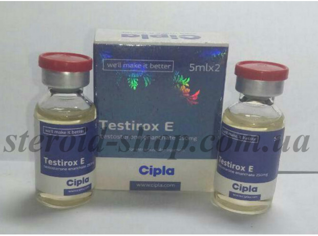 Тестостерон Энантат Cipla 5 ml * 2, Testirox E