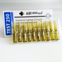Тестостерон Энантат All Chem Asia 1 ml, TEST 250 1  в Интернет магазин анаболических стероидов Steroid-shop.in.ua